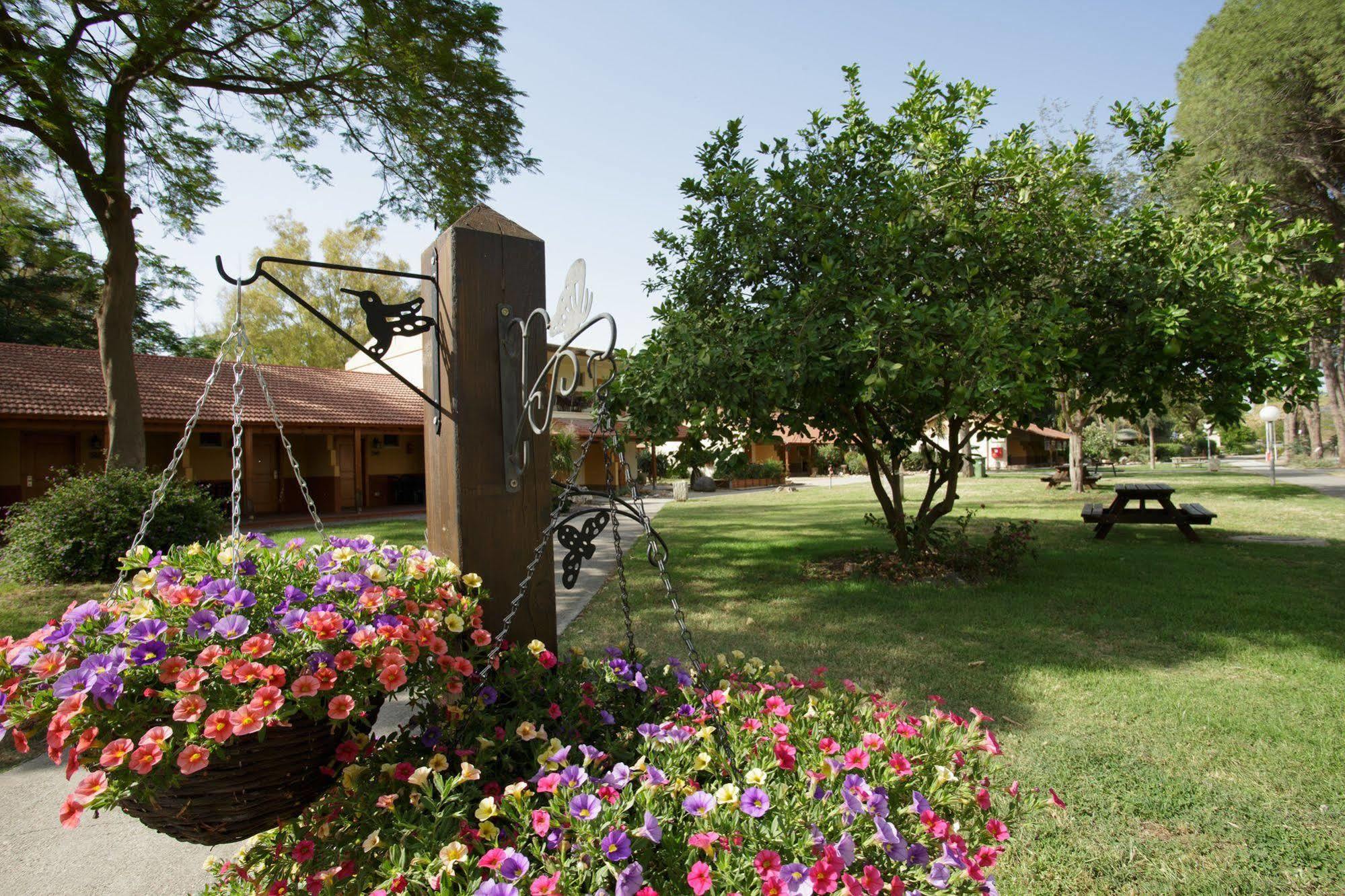 Nof Ginosar Kibbutz Hotel Dış mekan fotoğraf